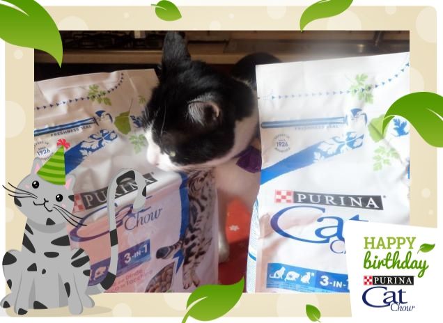 #happybirthdaycatchow3