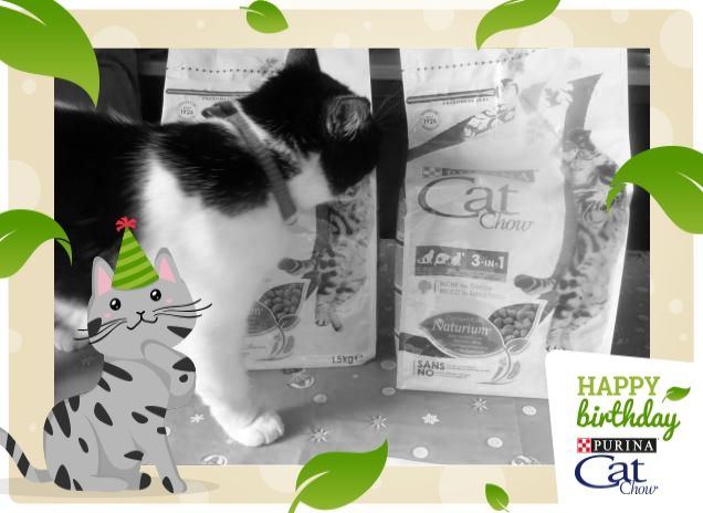 #happybirthdaycatchow4