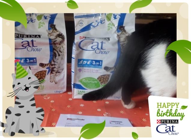 #happybirthdaycatchow5