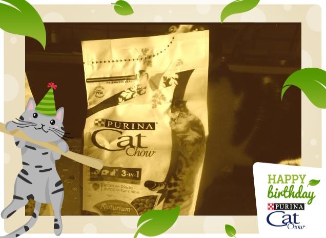 #happybirthdaycatchow6