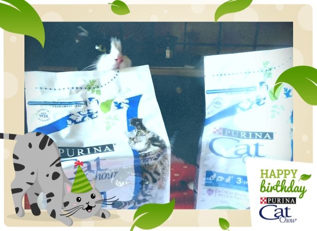 #happybirthdaycatchow7