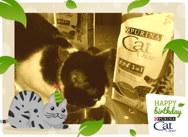 #happybirthdaycatchow10