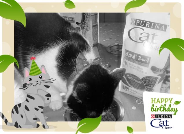 #happybirthdaycatchow11