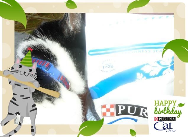 #happybirthdaycatchow12