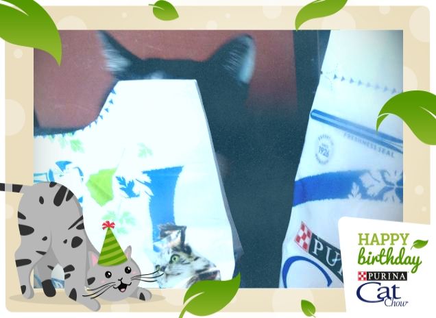 #happybirthdaycatchow14