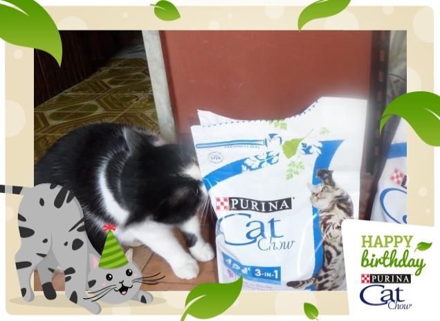 #happybirthdaycatchow17