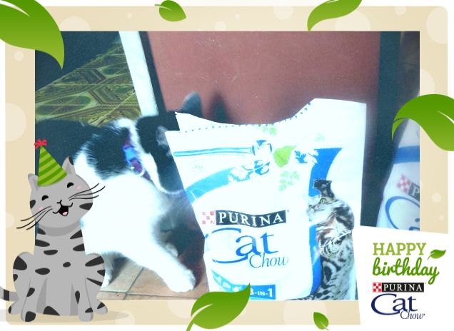 #happybirthdaycatchow18