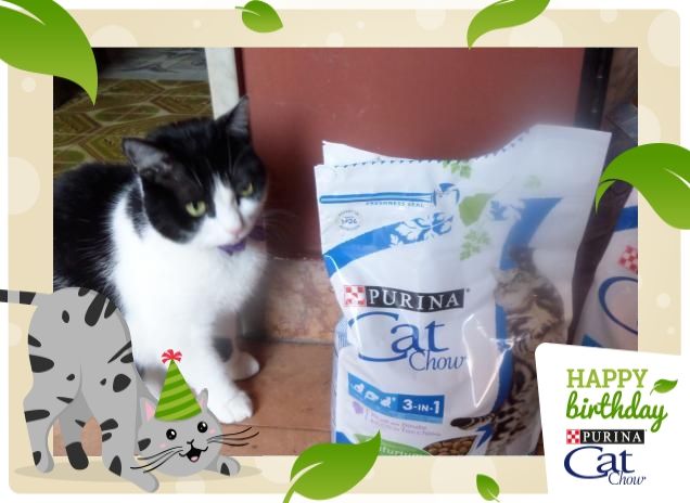 #happybirthdaycatchow19