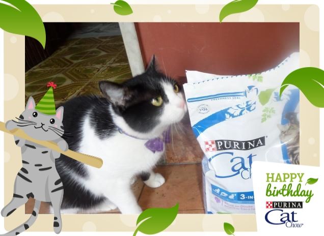 #happybirthdaycatchow20