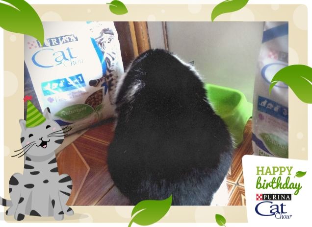 #happybirthdaycatchow21