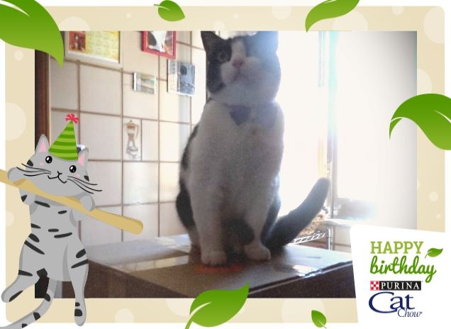 #happybirthdaycatchow24