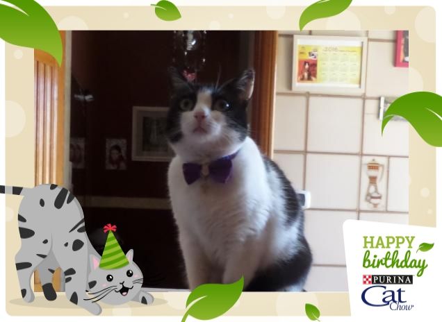 #happybirthdaycatchow26