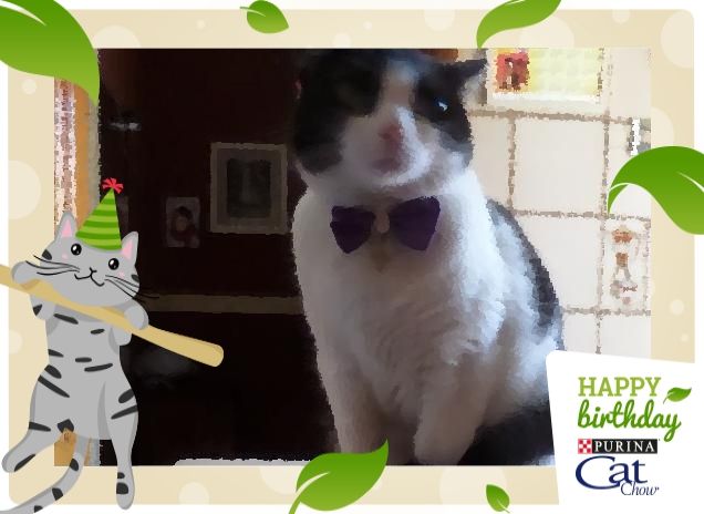 #happybirthdaycatchow27