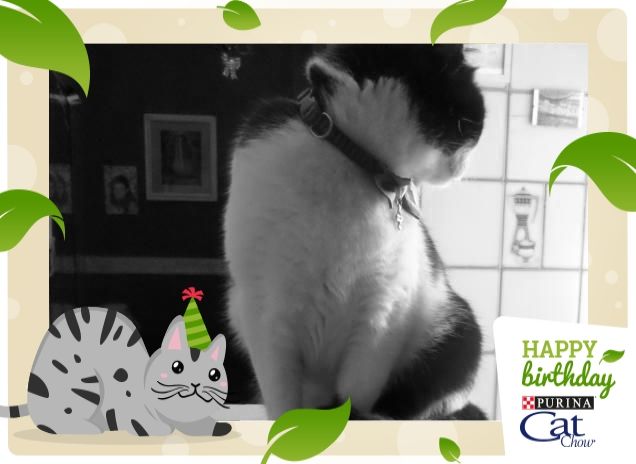 #happybirthdaycatchow28