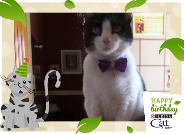 #happybirthdaycatchow29