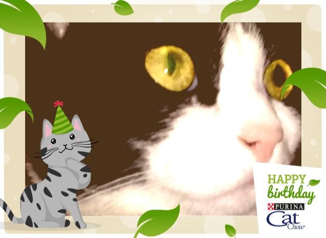 #happybirthdaycatchow31