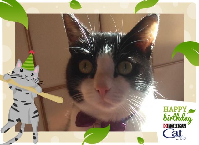 #happybirthdaycatchow33