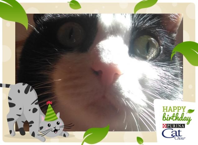 #happybirthdaycatchow34