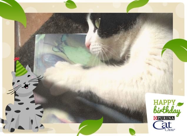 #happybirthdaycatchow35