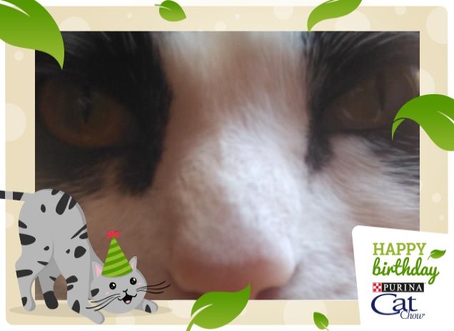 #happybirthdaycatchow36