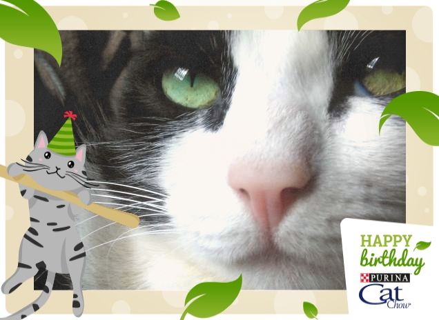 #happybirthdaycatchow39