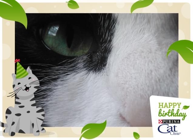 #happybirthdaycatchow40