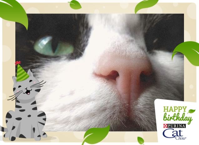 #happybirthdaycatchow42