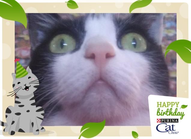 #happybirthdaycatchow43