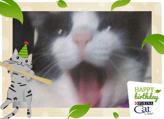 #happybirthdaycatchow45