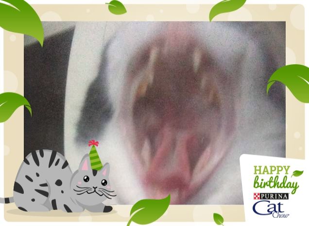 #happybirthdaycatchow46