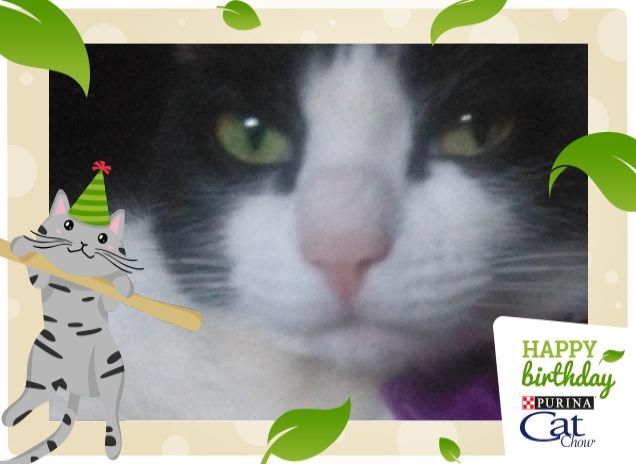 #happybirthdaycatchow47