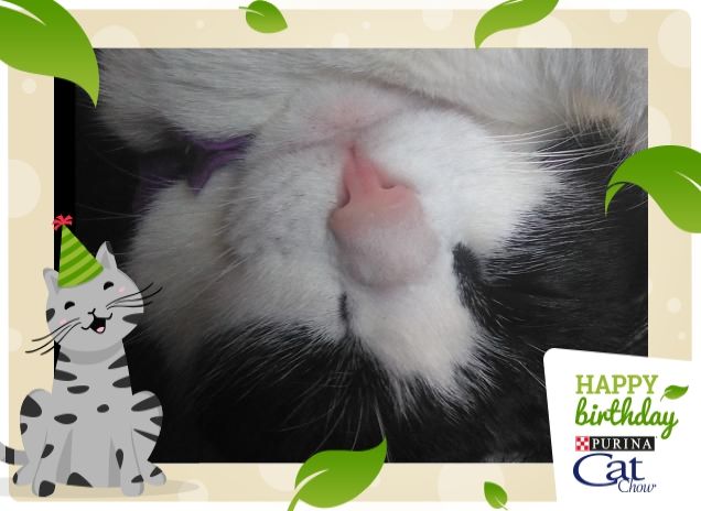 #happybirthdaycatchow48