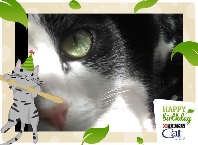 #happybirthdaycatchow51