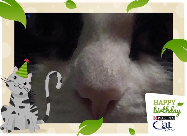 #happybirthdaycatchow52