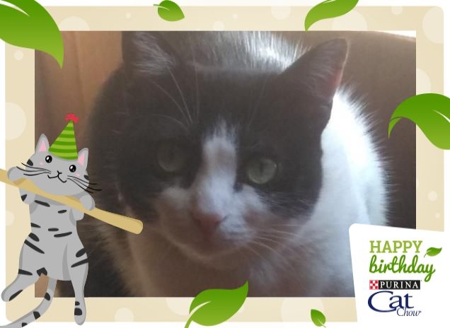 #happybirthdaycatchow54