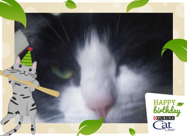 #happybirthdaycatchow55