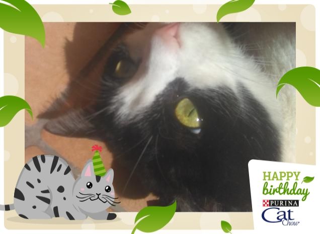 #happybirthdaycatchow56