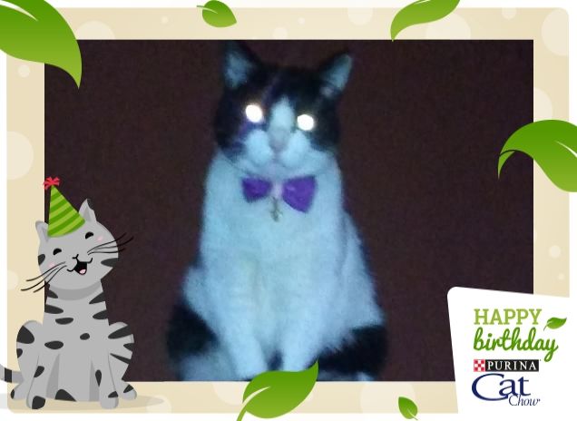 #happybirthdaycatchow57