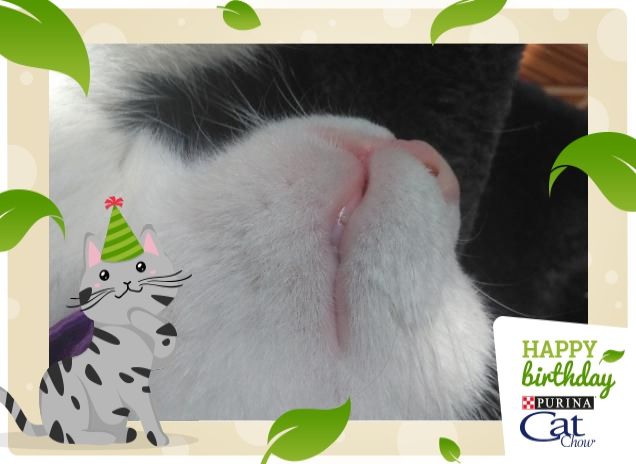 #happybirthdaycatchow58