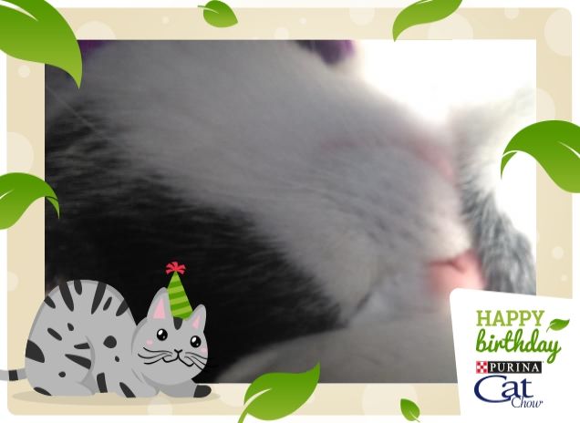 #happybirthdaycatchow59