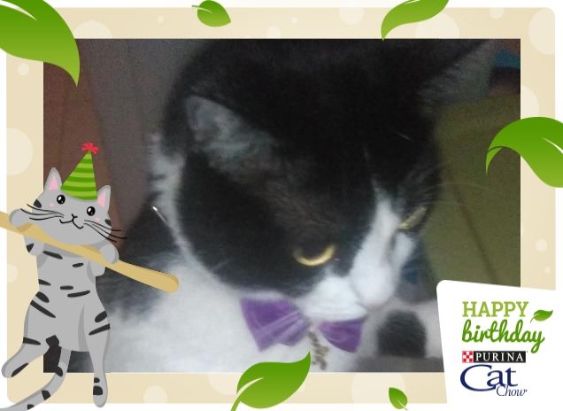 #happybirthdaycatchow61