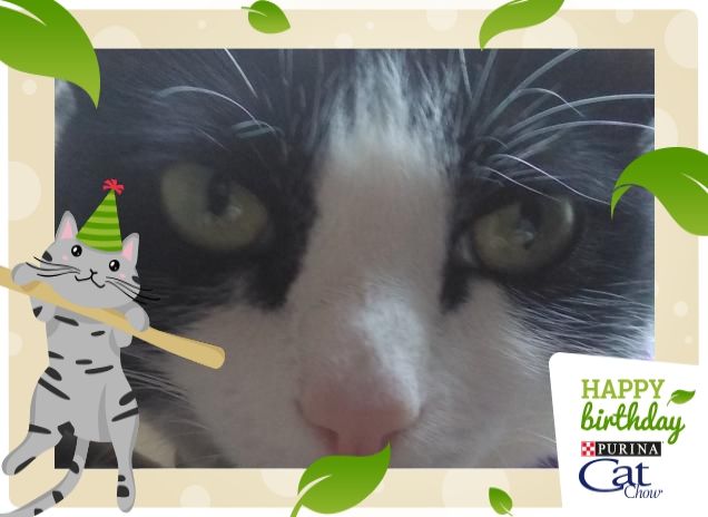 #happybirthdaycatchow63