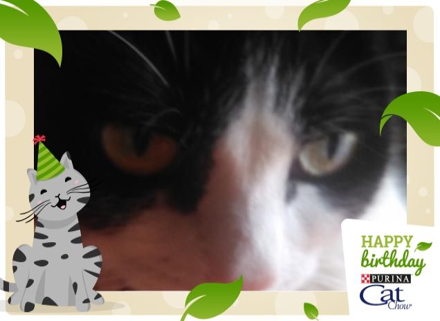 #happybirthdaycatchow64