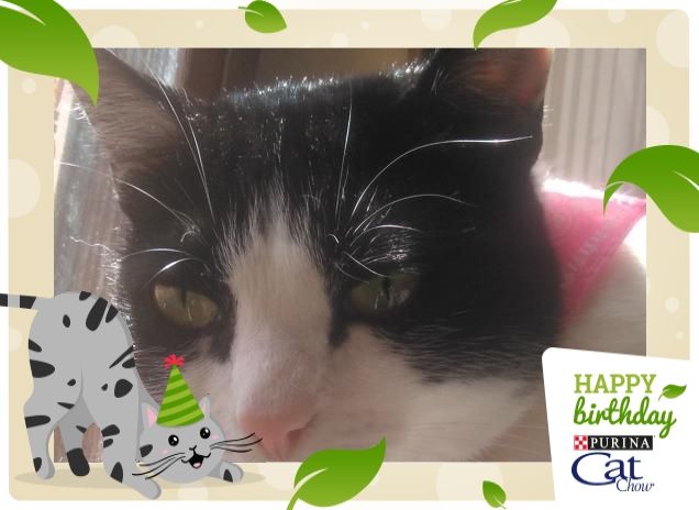 #happybirthdaycatchow67