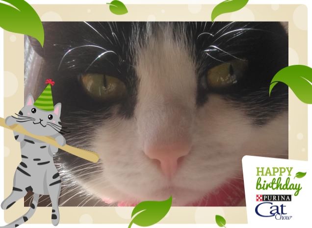 #happybirthdaycatchow68