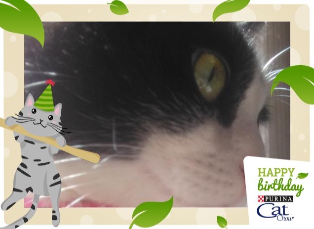 #happybirthdaycatchow69