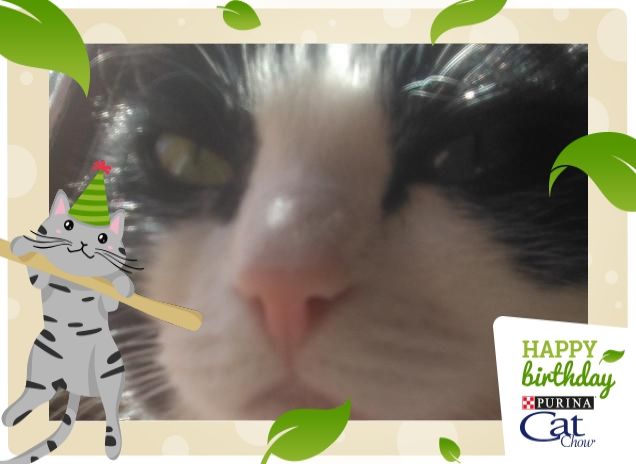 #happybirthdaycatchow70