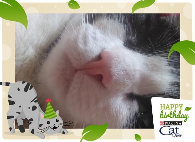 #happybirthdaycatchow87