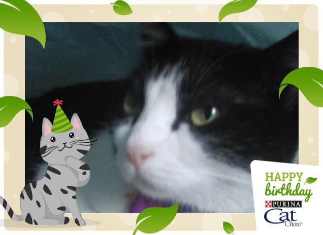 #happybirthdaycatchow89