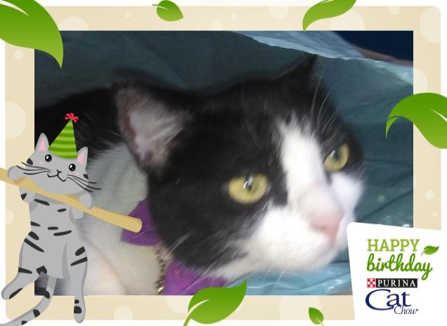 #happybirthdaycatchow90